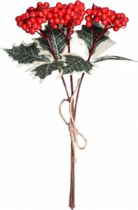 Dekorácia HOLLY AUTUMN listy + červené plody 25cm