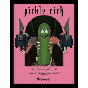 Rick And Morty - bedruckt "Classrickal" PM8192 (40 cm x 30 cm) (Pink/Grün/Schwarz)