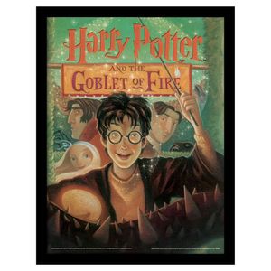 Harry Potter - potlač "Ohnivý pohár" PM8040 (40 cm x 30 cm) (farebná)