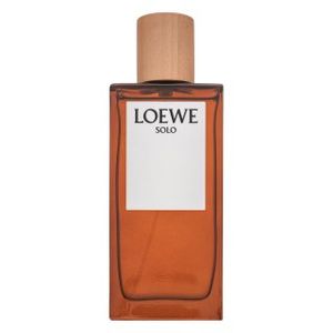 Loewe Solo Loewe Pour Homme Eau de Toilette für Herren 100 ml