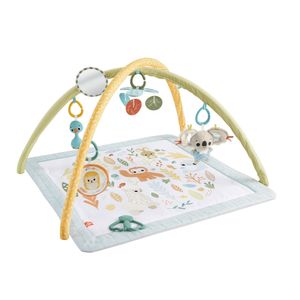 Fisher-Price Simply Senses Newborn Gym (Sensimals '24)