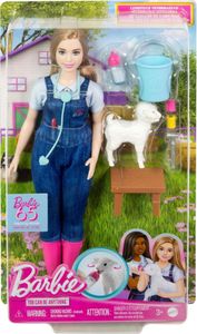 Barbie HRG42, Lalka modowa, Damski, 3 lat(a), Dziewczyna, 288 mm, 40 g
