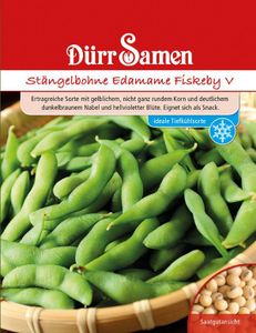 Stängelbohne Edamame Fiskeby v, sehr frühzeitige und ertragreiche Sorte, Verwendung wie frische Erbsen (grün) oder als Trockenbohne