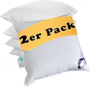 2er Set Federkissen Natur Schmusekissen Daunen Gänsefeder Kissen Sofakissen Reisekissen 40x40cm Kuschelkissen Bezug Baumwolle Kopfkissen