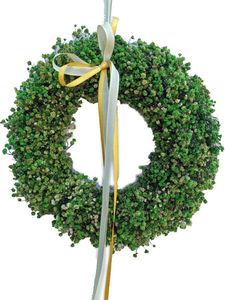 Türkranz Dekokranz Trockenblumen Gypsophilia grün D. 25cm CreaFlor Home