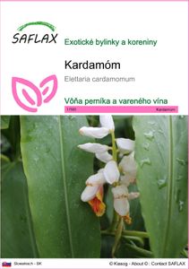 SAFLAX - kardamóm - Elettaria cardamomum - 20 Semená