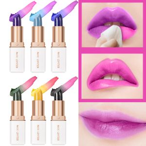 6 Stück Magischer Temperatur Farbwechsel Lippenstift,  Wasserdichte Langlebige Lippenbalsam Pflegender Lippenstift Kosmetik Make up