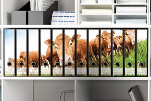 Wallario Ordnerrücken Sticker, selbstklebend für breite Ordner, 12 Stück, Motiv Kühe im Sommer auf der Weide