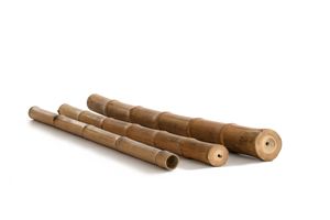 Bambusrohr Moso - Bambusstangen 200cm 4-6 cm
