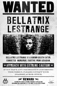 Harry Potter - Bellatrix - Film Kino Plakat - Poster 61x91,5 cm