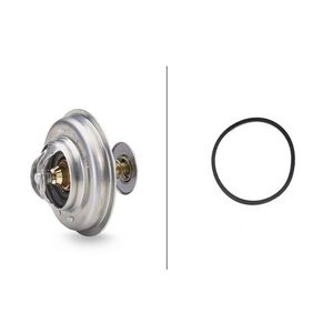 Chladicí kapalina termostatu pro Citroen/Peugeot/Rover