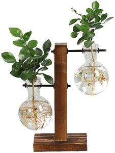 Glasvase Flora, Desktop Glas Übertopf Vase, Glas Vase Verschiedene Größen mit Retro Solid Holz Ständer Hydrokultur Pflanzen Home Garten Hochzeit Nachbildung