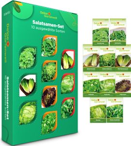 Salatsamen Set - 10 Sorten Samen - Saatgut Sortiment - Anzuchtset für Salat - Geschenkset - Schnittsalat, Feldsalat, Kopfsalat, Wintersalat, Eissalat, Romanasalat, Salatrauke und mehr