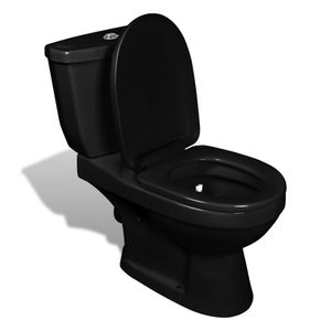 vidaXL Toilette mit Spülkasten Schwarz