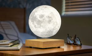 Gingko smart Moon Lamp Kugelleuchte mit Podest - in verschiedenen Farben, Farbe:Esche