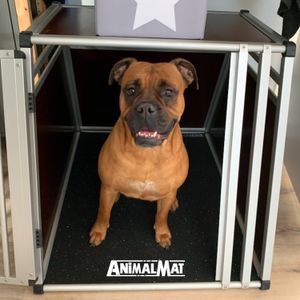 HundeMatte Gummimatte Unterlage für Hunde TransportBox 90 x 90 cm
