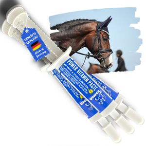 EMMA Power BOOSTER Vitamin E für Pferde - Paste 3*30 ml Pferd Vitamin E Vitamin b Komplex zur Unterstützung Vitalität mit Kalzium Eisen Zink