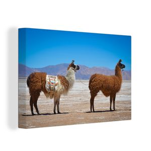 OneMillionCanvasses® - Leinwandbilder - 140x90 cm, Lama - Wüste - Berge, Wandbilder Kunstdruck Wanddekoration