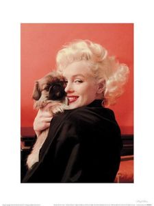 Pyramid Marilyn Monroe Love Kunstdruck 30x40cm