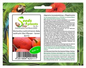 5x Momordica cochinchinensis Baby Jackfrucht Obst Pflanzen - Samen B1772