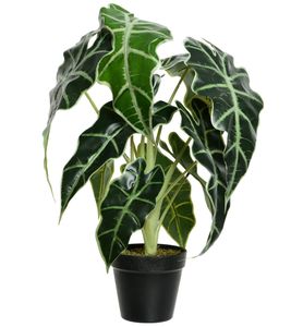 Kaemingk Alocasia Grünpflanze im Topf 50 cm - Kunstpflanzen