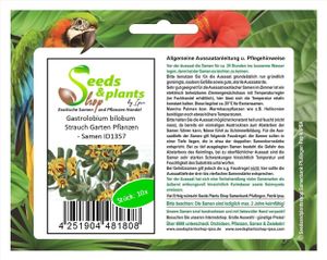 10x Gastrolobium bilobum - Herzblattgift Strauch Garten Pflanzen - Samen ID1357