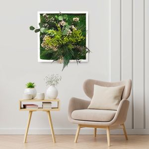 Pflanzenbilder stabilisiert Blumen Pflanzen Wand ForestMoss PersefoneGröße: 40 x 40, Farbe des Rahmens: Weiß, Zusammensetzung: , Modelle: , Zertifikation: