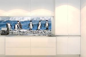 Küchenrückwand Folie Selbstklebend PINGUINE 180 x 60 cm - Klebefolie - Dekofolie