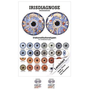 Irisdiagnose Mini-Poster Anatomie 34x24 cm medizinische Lehrmittel