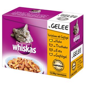 Was es vor dem Bestellen die Whiskas katzenfutter angebot zu analysieren gilt!
