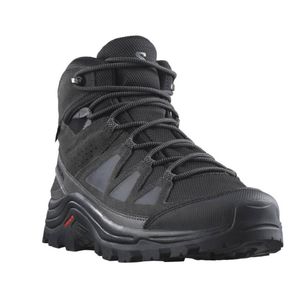 Herren Hikingschuhe SALOMON QUEST ROVE GTX  46 2/3