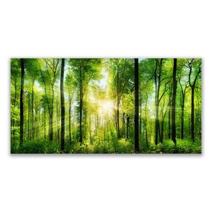 Acrylglasbilder 140x70 Wandbild Druck Wald Natur