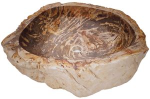 Massives Fossiles Holz Aufsatz-Waschbecken, Waschschale, Naturstein Handwaschbecken - Modell 19, Creme-weiß, FossilesHolz, 15*61*53 cm, Waschtische & Waschbecken