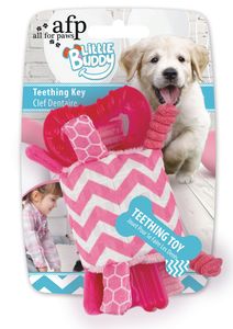 All for Paws Little Buddy - Teething Key Rosa