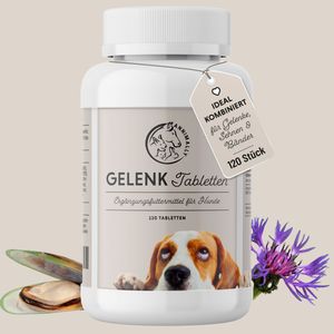 Gelenktabletten für Hunde 120 Stück - Grünlippmuschel, Glucosamin, MSM, Chondroitin & Teufelskralle - bei Gelenkschmerzen & Gelenkproblemen Hund