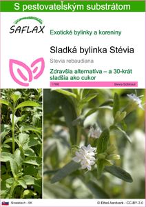 SAFLAX - Sladká bylinka Stévia - Stevia rebaudiana - 100 Semená - S pestovateľským substrátom bez klíčkov