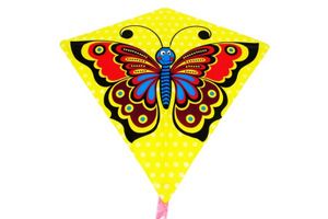 Lietajúci motýľ 68x73cm v taške