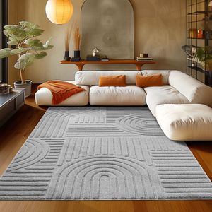 Teppium Hochflor Teppich Wohnzimmer Skandinavische Boho Design 3D Optik Teppich Shaggy Flauschig Weich, Grau, 120 x 170 cm