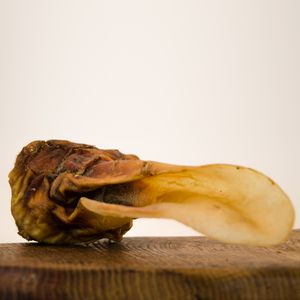 Rinderohren mit Muschel - 1000g von George & Bobs - Beste Qualiät aus Deutschland - Kauspaß