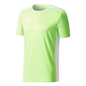 Adidas Entrada 18 Solar Green / White XL