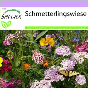 SAFLAX - Wildblumen: Schmetterlingswiese - 1000 Samen - 21 Wildflower Mix
