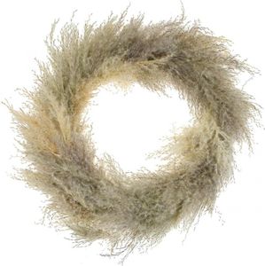 Pampasgras Kranz getrocknet, Boho Türkranz Deko, Natürlich Trockenblumen Ø31cm, Wandkranz