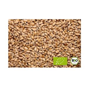 LanDixx Bioweizen 25 kg Landweizen Weizen kontrolliert biologischer Anbau