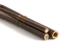 Bambusrohr Schwarz - Black Asper Bambusstangen 200cm 2-3 cm