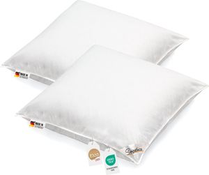 2 Stück Kopfkissen 1100g neue weiße Federn Klasse 1 Daunenpass 80x80 2 Stück Kopfkissen 1100g neue weiße Federn Klasse 1 Daunenpass 80x80