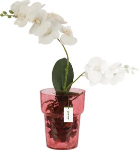 Blumentopf, Blumenübertopf, Glas, für Orchideen, Orchideentopf D 15,5 cm H 18 cm Rot, Riss- und Spinnwebenstruktur, Groß, mit raumregulierendem Wassermanagement, Moderne Vase für Schnittblumen