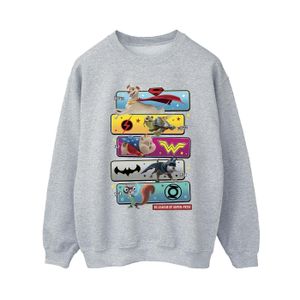 DC Comics - "DC League Of Super-Pets Character Pose" Sweatshirt für Damen BI16502 (M) (Grau)
