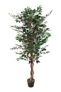 Deco Plant 160 cm - Model: Ficus