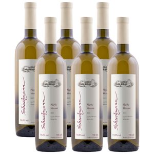 Schuchmann wines Mtsvane 2022 Weißwein trocken aus Georgien (6 x 0.75l)