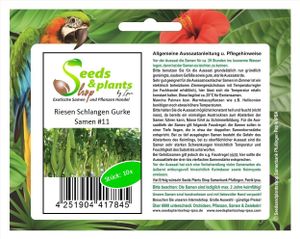 10x Riesen Schlangen Gurke Gemüse Pflanzen - Samen #11